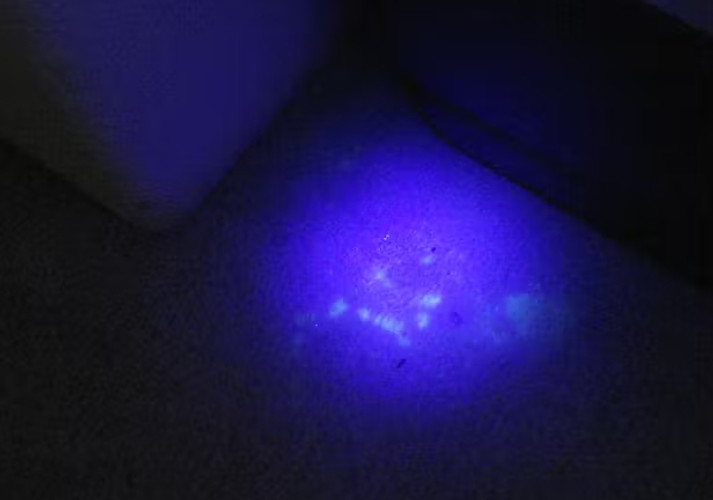 Can I Use a Regular UV Flashlight for Forensic Purposes?