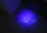Can I Use a Regular UV Flashlight for Forensic Purposes?