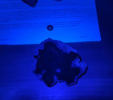 What Is a UV Torch? Understanding Its Uses and Benefits