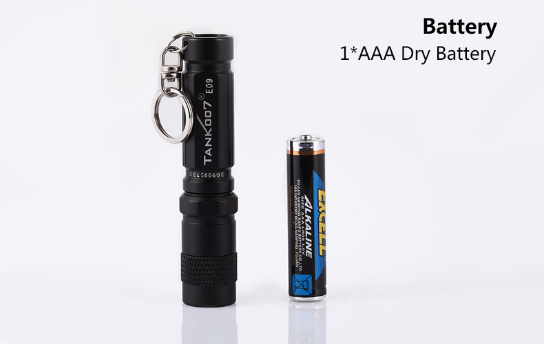 FrogLeggs 40-Lumen 1 Mode LED Miniature Flashlight (Aaa Battery