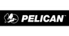 Pelican