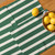 Green and Cream Stripe Holiday Placemat Set