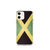 Jamaica Flag Case for iPhone®