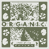 Organic Cotton Short Socks - Made in USA