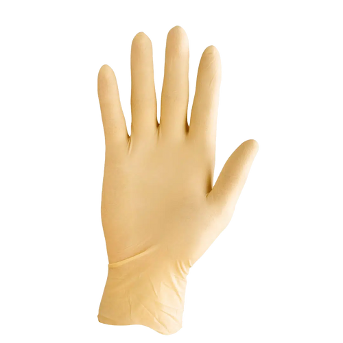 Latex Exam Gloves XLarge NPBox/100