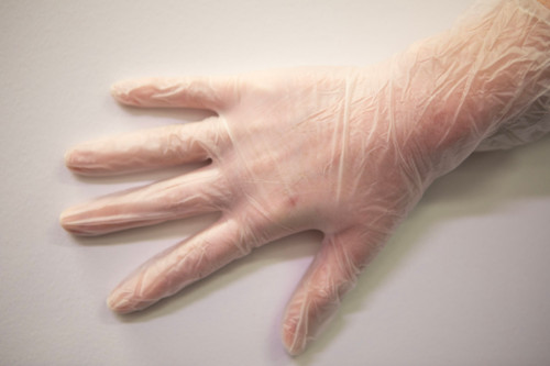 X Large Vinyl Gloves Clear, Ctn/1000