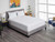 SC43023_2.jpg