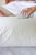 Durathereme Waterproof Pillow Standard, EACH