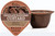 Flavour Creations Chocolate Custard Ctn 12x115g