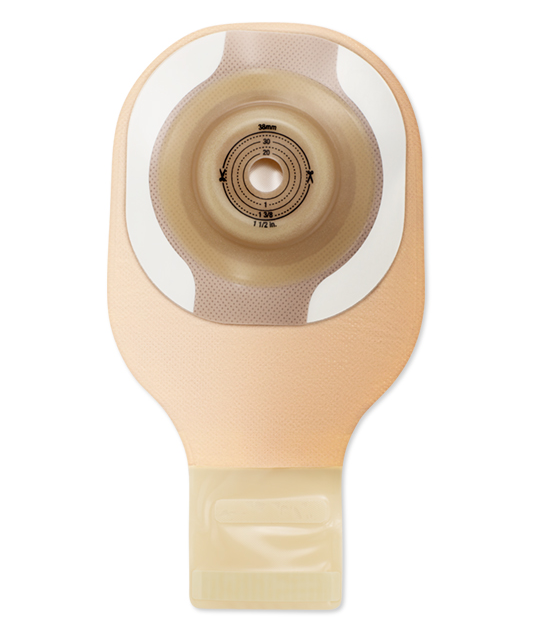 HO54135_1.png