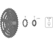 Shimano TL-LR15 HG Cassette & Centre-Lock Disc Remover With Guide Pin Shimano TL-LR15 HG Cassette & Centre-Lock Disc Remover With Guide Pin