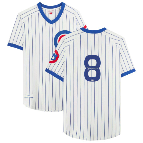 Andre Dawson Chicago Cubs Fanatics Autographed Mitchell & Ness Jersey - White