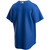 Chicago Cubs Nike Replica Replica  Alternate Replica Team Jersey - Royal