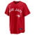Men's Toronto Blue Jays Anthony Santander Nike Red Canada Day Replica Jersey
