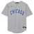 Willson Contreras Chicago Cubs Fanatics  Autographed Gray Nike Replica Replica Replica Jersey
