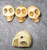 Skull Beads 1/2" Bone Howlite