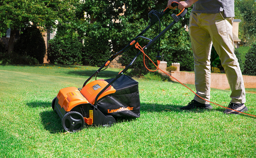 Dethatching vs Scarifying: What You Need to Know Dethatching vs Scarifying: What You Need to Know