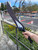 Fate Stay Night - 25" Dual Archer BladeS