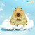 CAPYBARA Blind Box