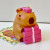 CAPYBARA Daily Blind Box