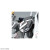 GUNDAM WING: MG RX-9/C Narrative Gundam C-Packs Ver.Ka