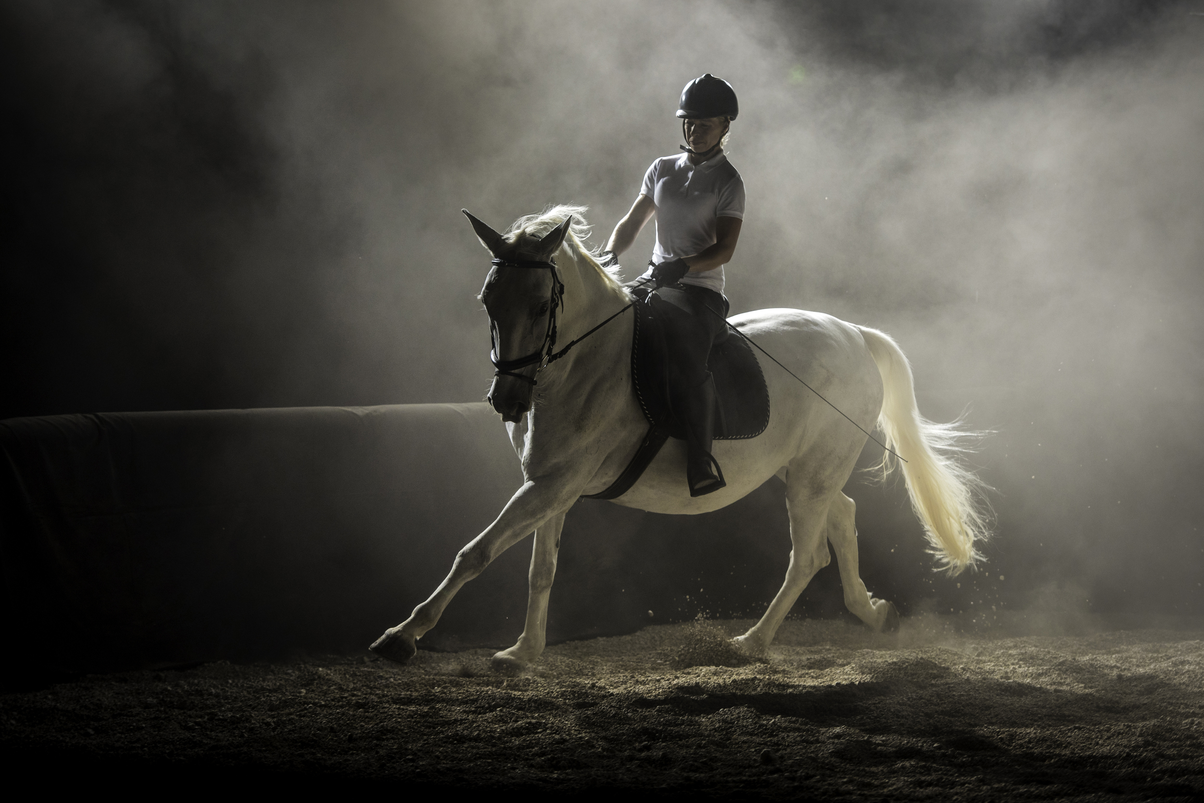 equine-istock-504829534.jpg