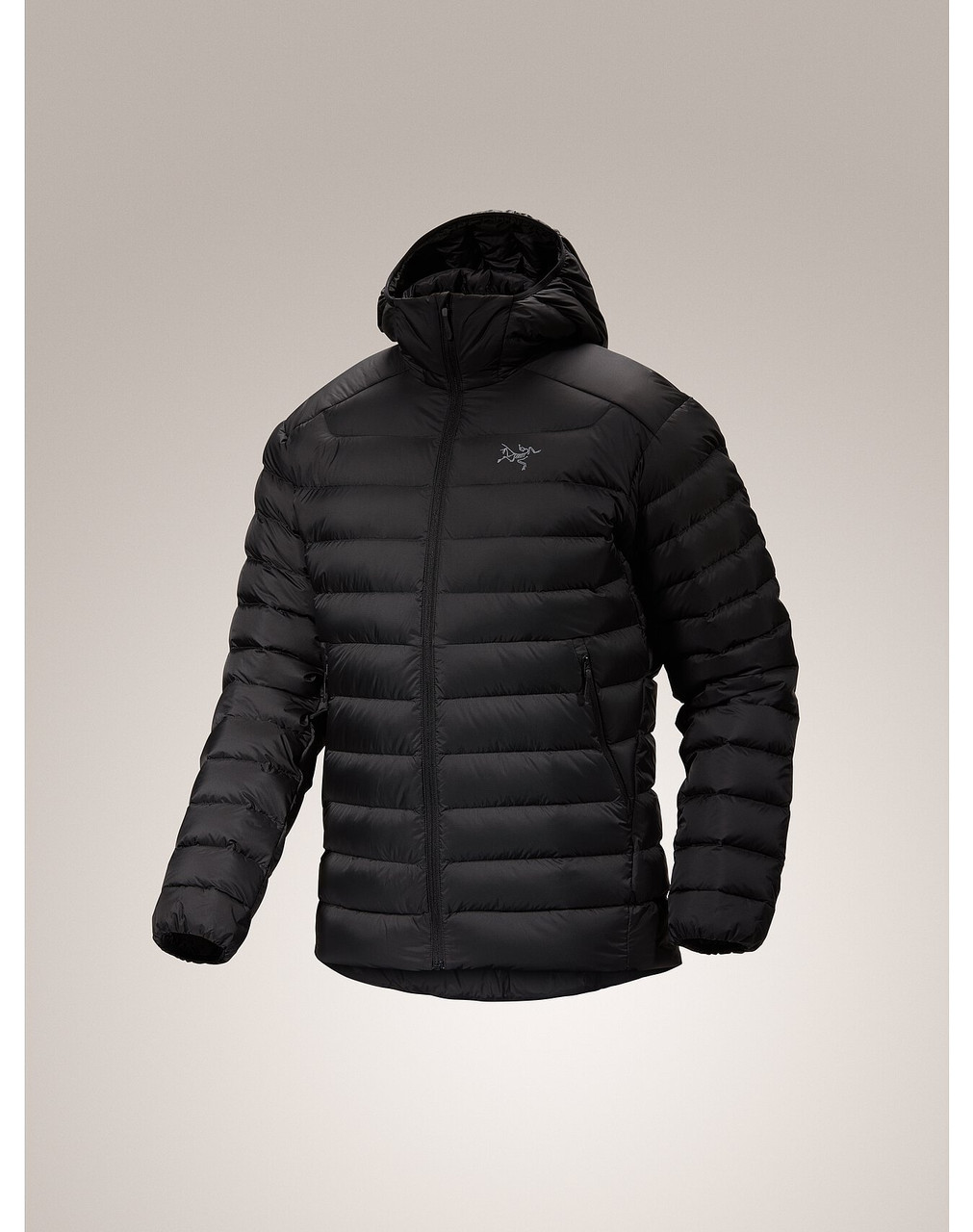 Arc'teryx Cerium Hoody - Down jacket Men's