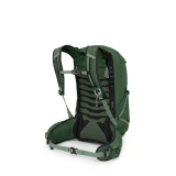 Men's Talon 22L - Green Canopy/Pine Leaf - Back