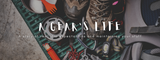 The Life of Gear: A story of realistic expectations and maintaining your stuff