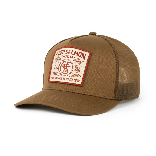 ASF Curved Trucker Hat - Leather Brown