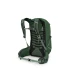 Men's Talon 22L - Green Canopy/Pine Leaf - Back