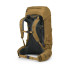 Men's Rook 65