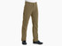 Dark Khaki