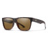 Lowdown 2 - Non-Polarized Lens - Matte Tortoise: ChromaPop Brown
