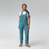 Women's Eddy Out Overalls - Stormy PNW
