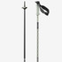 Polar Pro S3 Ski Poles - White Moss