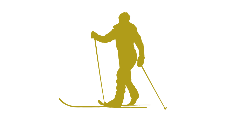 Cross Country Ski Poles