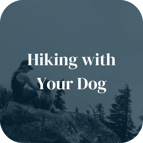 Hiking With Your Dog