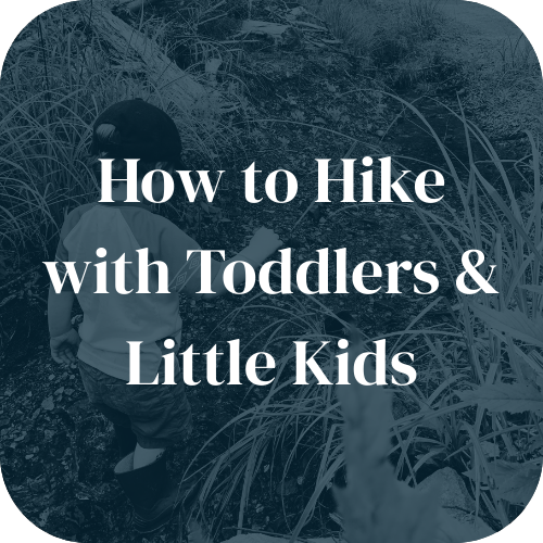 How to Hike with Toddlers & Little Kids