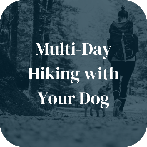 Multi-Day Hiking with Your Dog