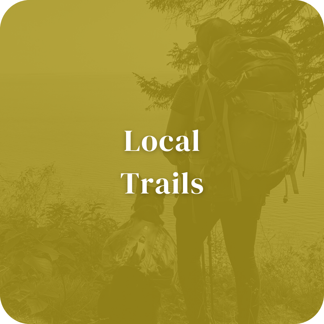 Local Trail in and around Rothesay, NB, Canada.