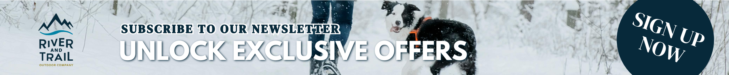 Subscribe to our newsletter and Unlock exclusive offers. Sign Up Now!