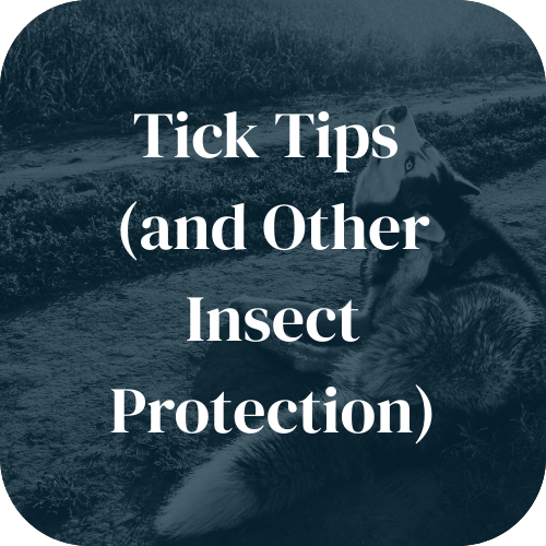Tick Tips (and other Insect Protection)