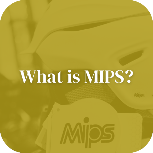 What is MIPS?
