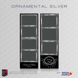 Ornamental Silver Bundle - CI Creative