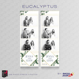 Eucalyptus 2x6 3 Images - CI Creative