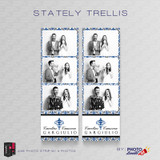 Stately Trellis 2x6 3 Images - CI Creative