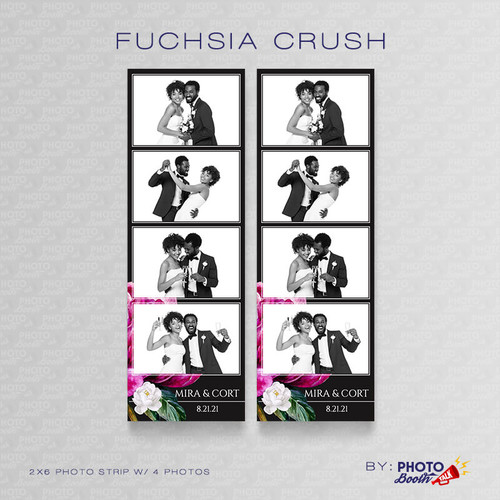 Fuchsia Crush 2x6 4 Images - CI Creative