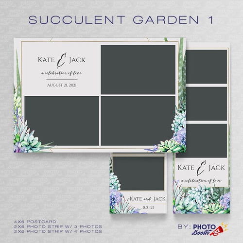 Succulent Garden 1 Set - CI Creative