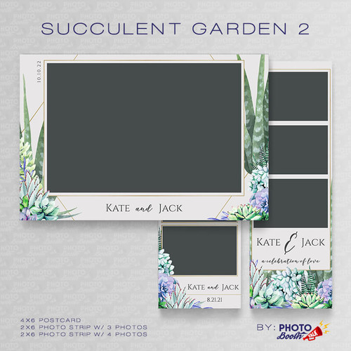 Succulent Garden 2 Set - CI Creative
